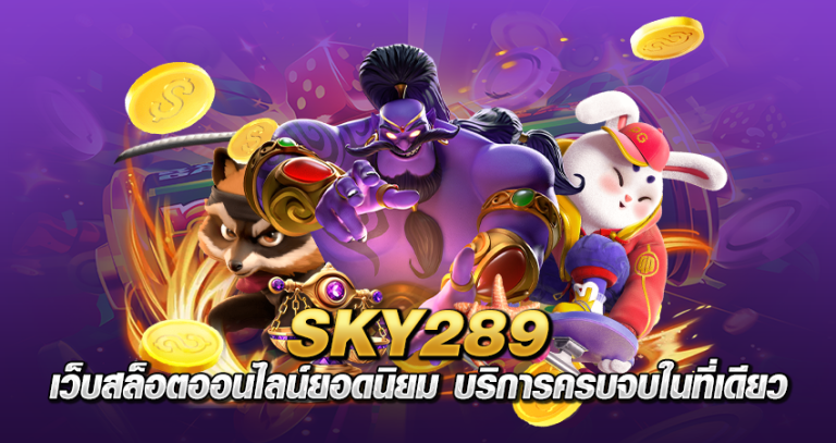 SKY289 หน้าปก